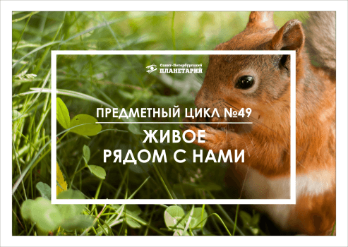 Живое рядом с нами N 49