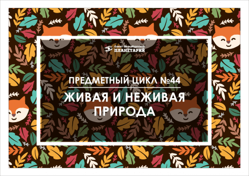 Живая и неживая природа N 44